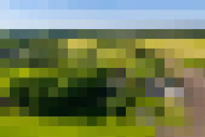 Scheuterdijk 31 Eefde thumbnail 49