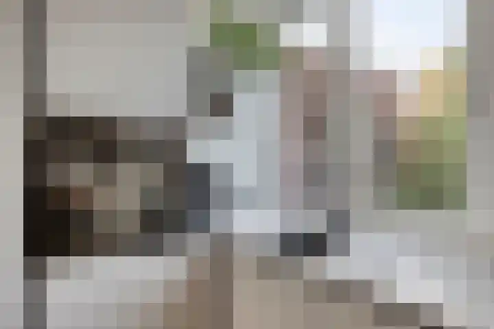 Scheuterstraat 18 Rheden thumbnail 16