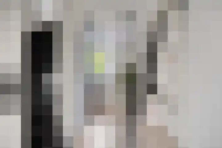 Scheuterstraat 18 Rheden thumbnail 9