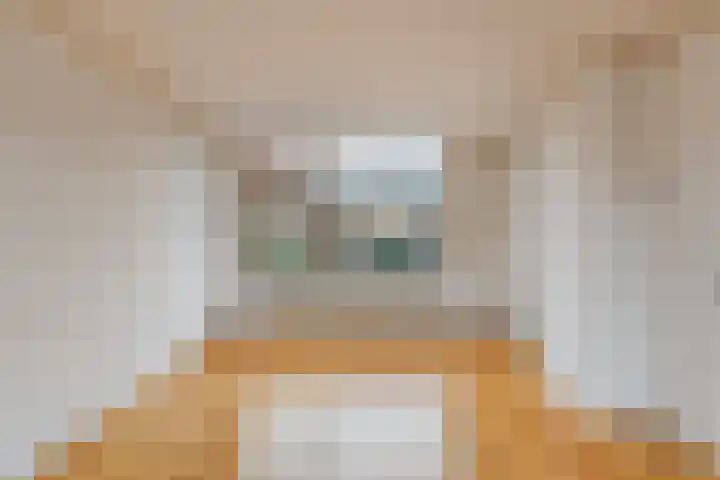 Scheuterstraat 31 Rheden thumbnail 7