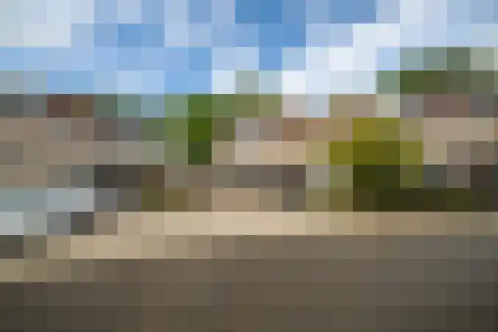 Scheveningsebos 54 Zoetermeer thumbnail 15