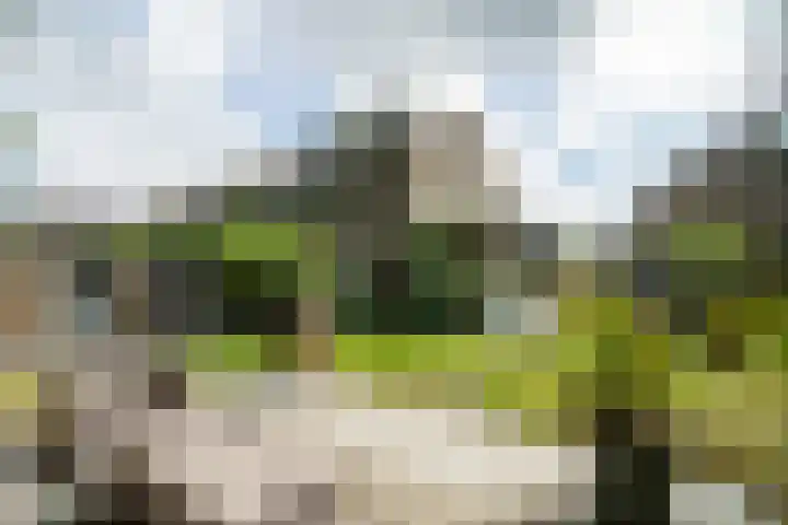 Scheveningsebos 54 Zoetermeer thumbnail 17