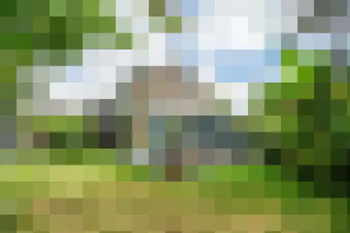 Scheveningsebos 54 Zoetermeer thumbnail 19