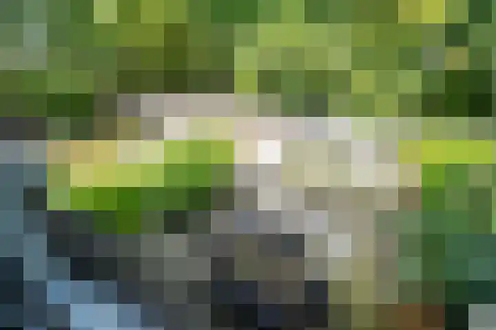 Scheveningsebos 54 Zoetermeer thumbnail 23
