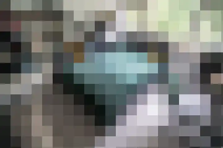 Scheveningsebos 54 Zoetermeer thumbnail 37