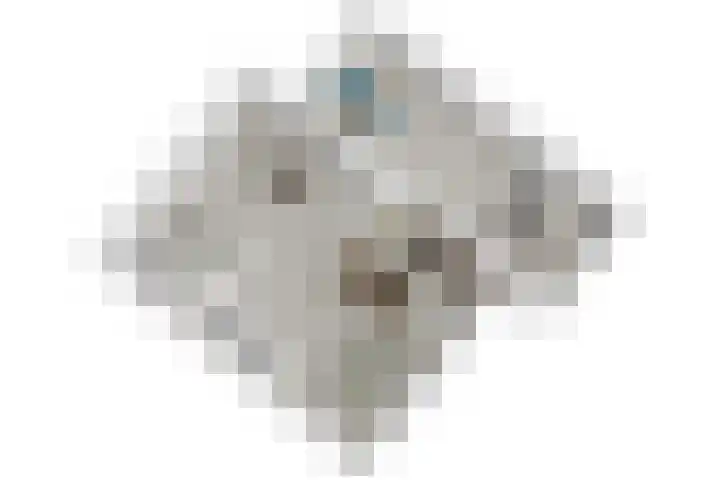 Scheveningsebos 54 Zoetermeer thumbnail 39