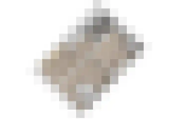 Scheveningsebos 54 Zoetermeer thumbnail 41