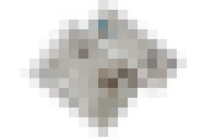 Scheveningsebos 54 Zoetermeer thumbnail 46
