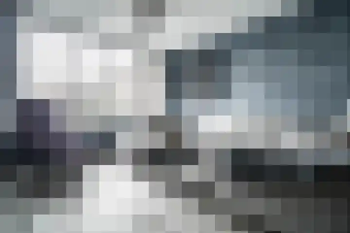 Scheveningsebos 54 Zoetermeer thumbnail 8