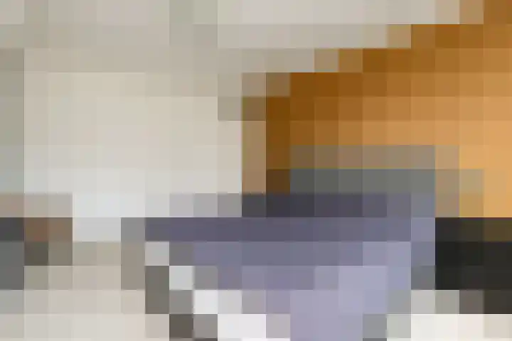 Scheveningsebos 74 Zoetermeer thumbnail 28