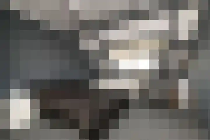 Scheveningsebos 74 Zoetermeer thumbnail 37