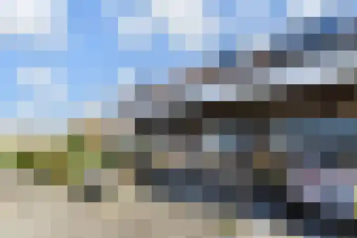 Scheveningsebos 74 Zoetermeer thumbnail 5