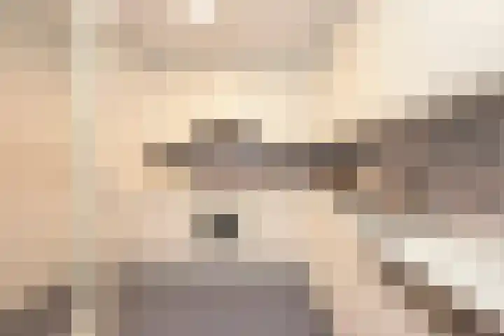 Scheveningseslag 87 Den Haag thumbnail 16