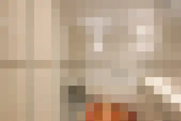 Scheveningseslag 87 Den Haag thumbnail 22