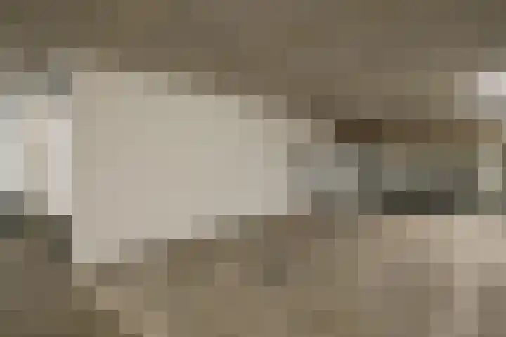 Scheveningseslag 87 Den Haag thumbnail 34