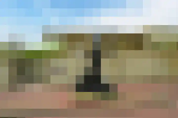 Scheveningseslag 87 Den Haag thumbnail 37