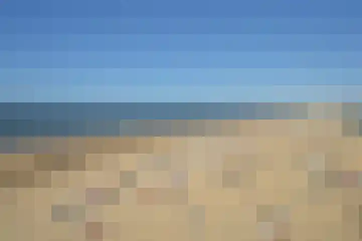Scheveningseslag 87 Den Haag thumbnail 45