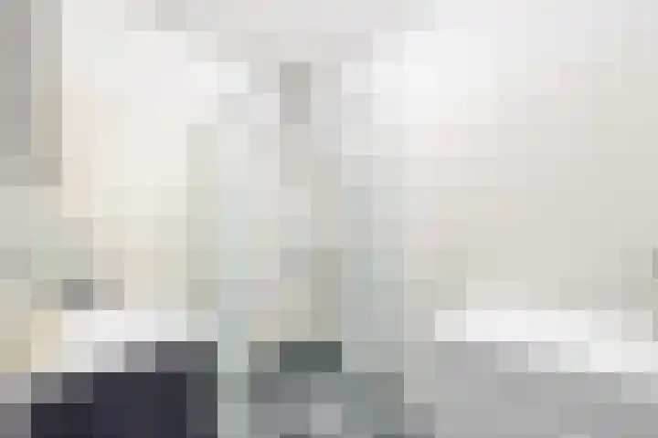 Schie 154 Schiedam thumbnail 5