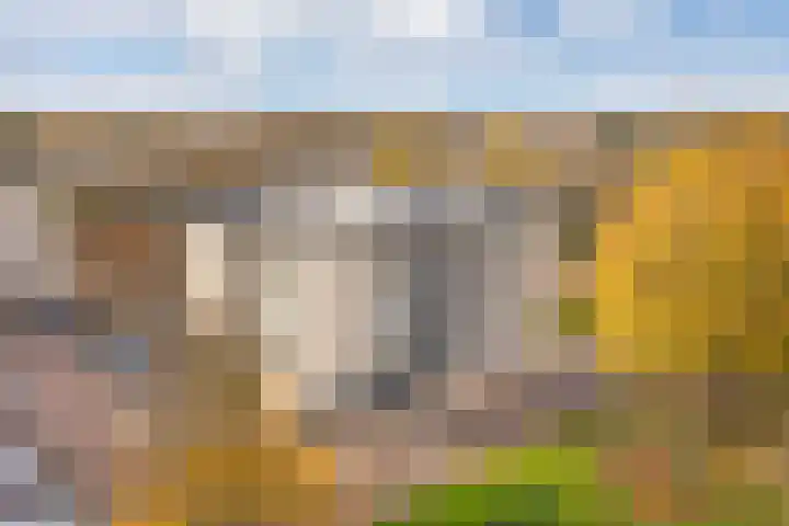 Schie 17 A Schiedam thumbnail 4