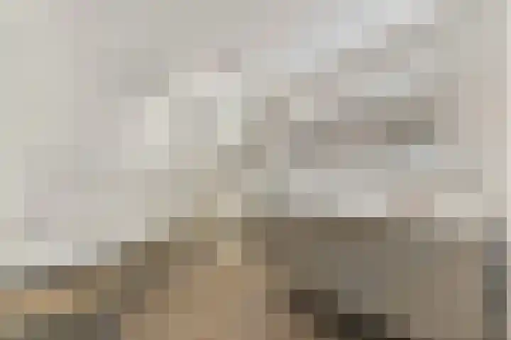 Schie 17 A Schiedam thumbnail 5