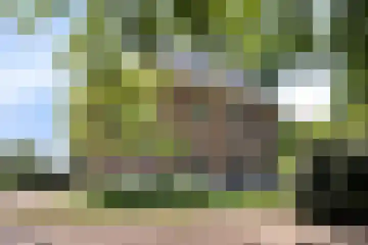 Schie 21 Schiedam thumbnail 11