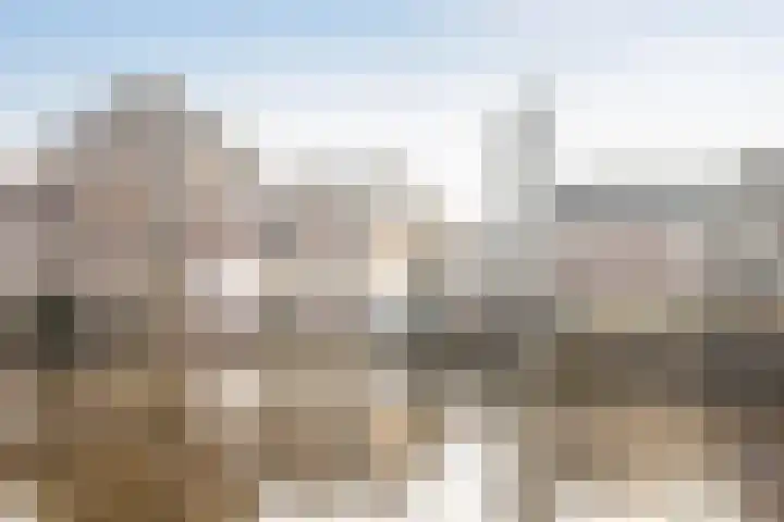 Schie 21 Schiedam thumbnail 17