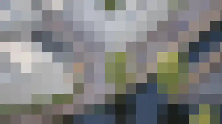 Schie 21 Schiedam thumbnail 27