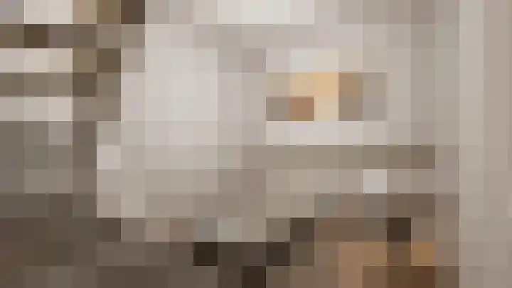 Schie 21 Schiedam thumbnail 7