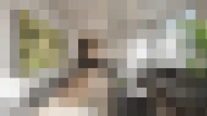 Schie 23 Schiedam thumbnail 5