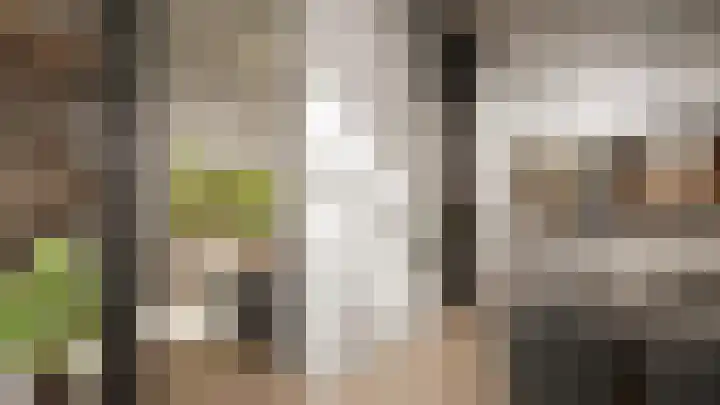 Schie 23 Schiedam thumbnail 8