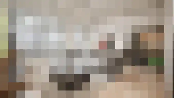 Schie 25 Schiedam foto 2