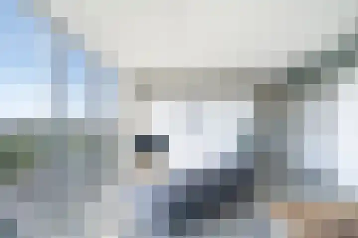 Schiehavenkade 320 Rotterdam thumbnail 18