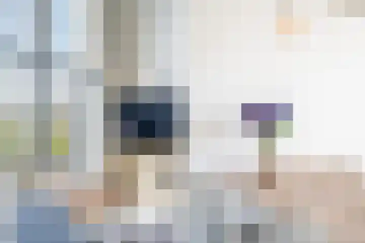 Schiehavenkade 320 Rotterdam thumbnail 19