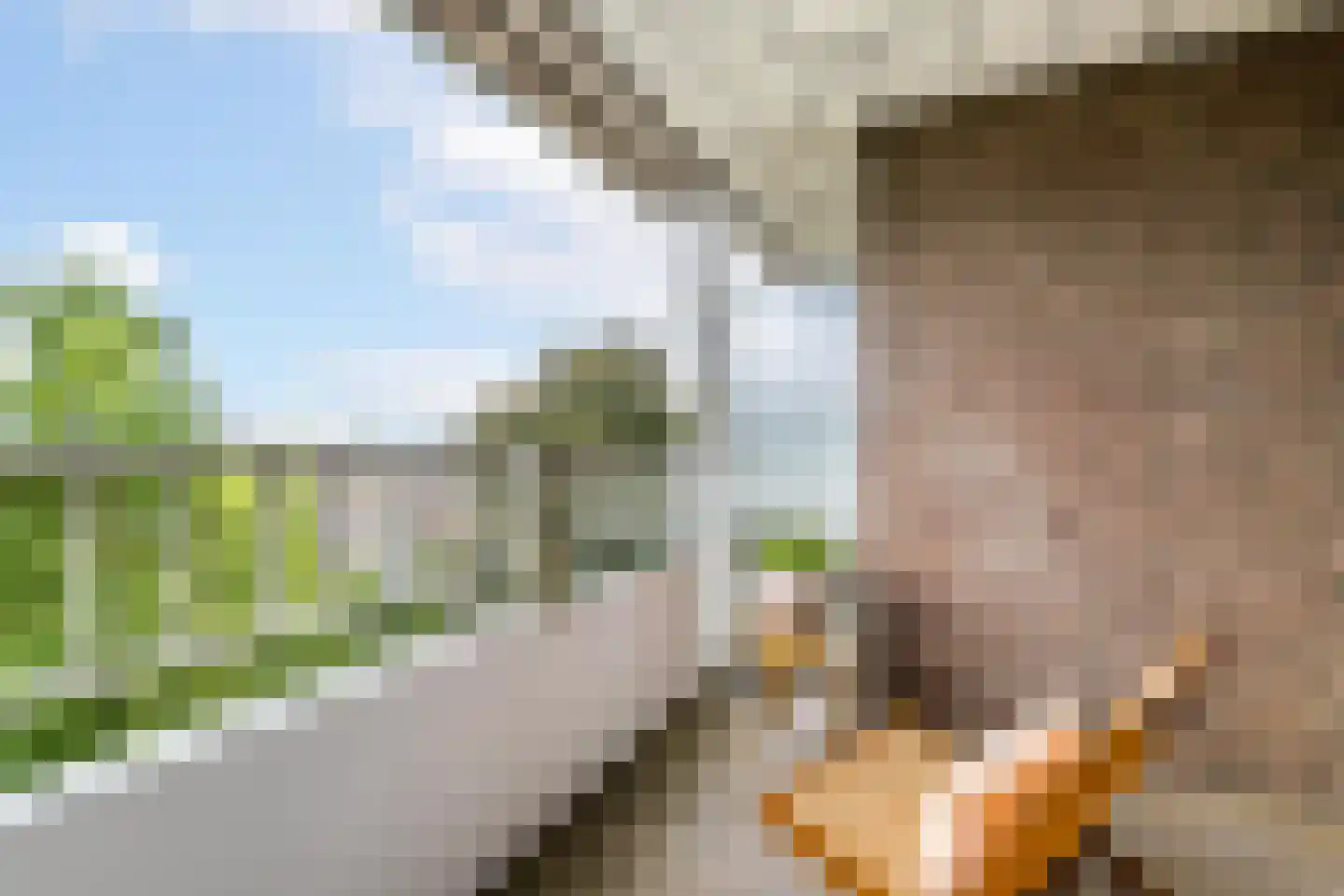 Schiekade 27 D Rotterdam thumbnail 13