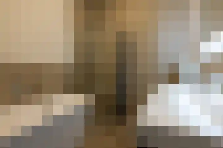 Schiekade 95 B Rotterdam thumbnail 14