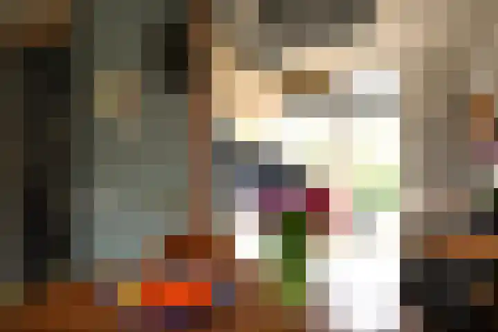 Schieland 20 Assen thumbnail 12
