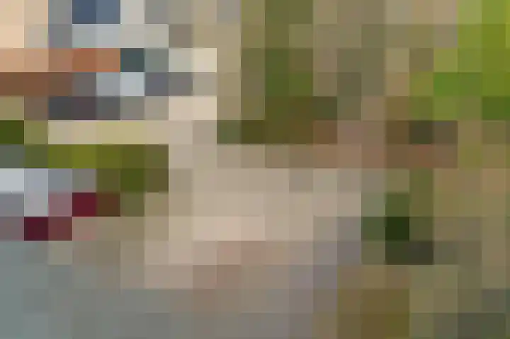 Schieland 20 Assen thumbnail 31