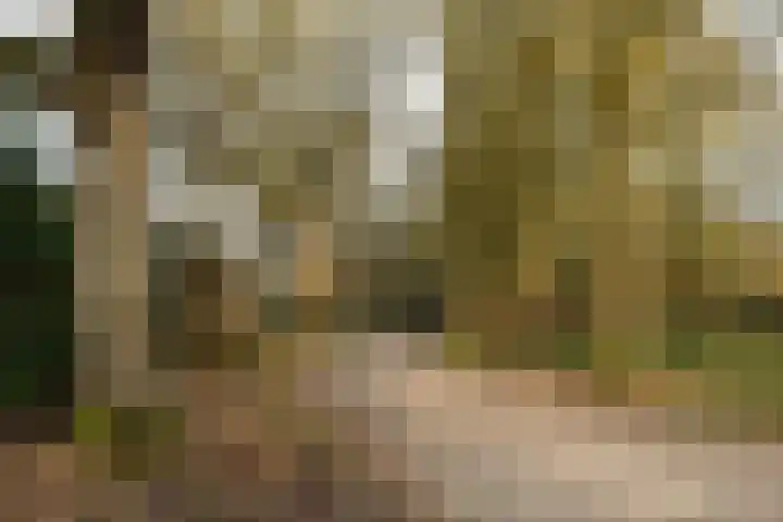 Schieland 20 Assen thumbnail 35