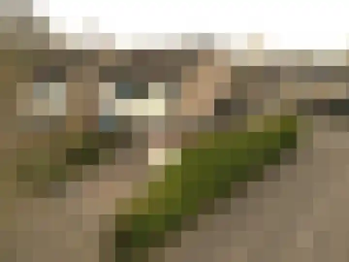 Schieland 20 Assen thumbnail 4