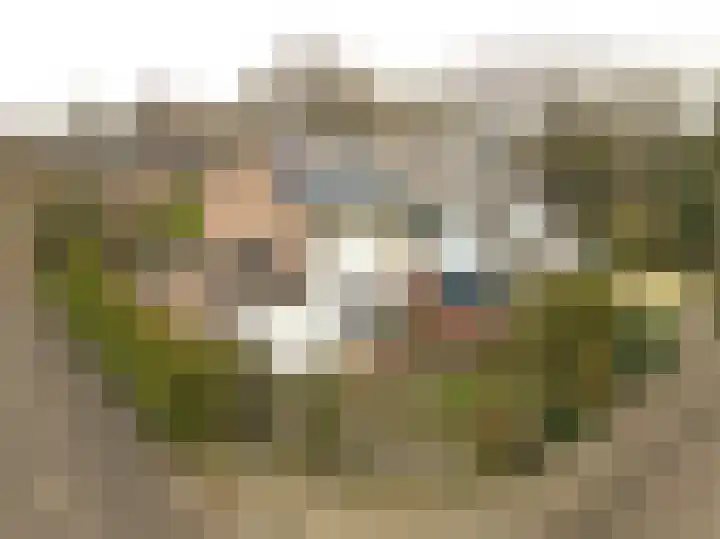 Schieland 20 Assen thumbnail 6