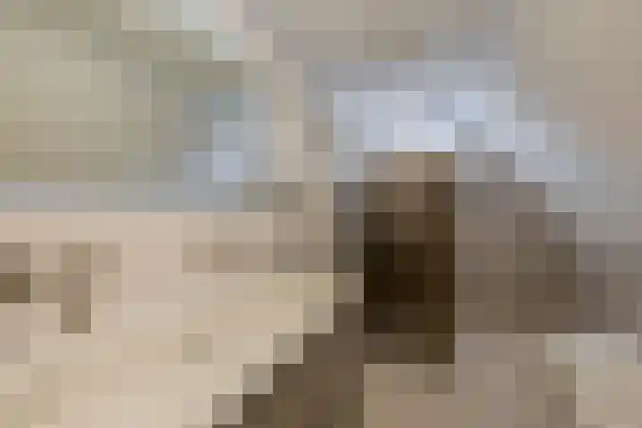 Schieland 9 Moerkapelle thumbnail 16