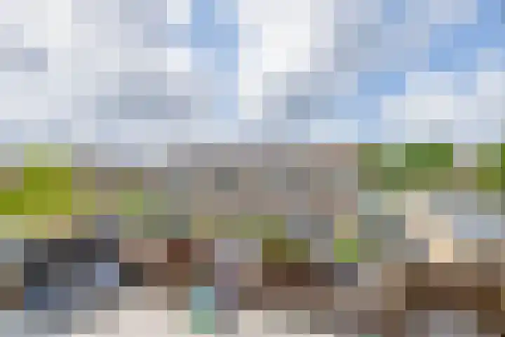 Schieland 9 Moerkapelle thumbnail 23