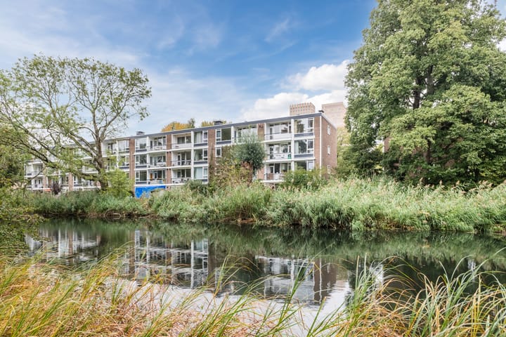 Schierstins 103 in Amsterdam foto