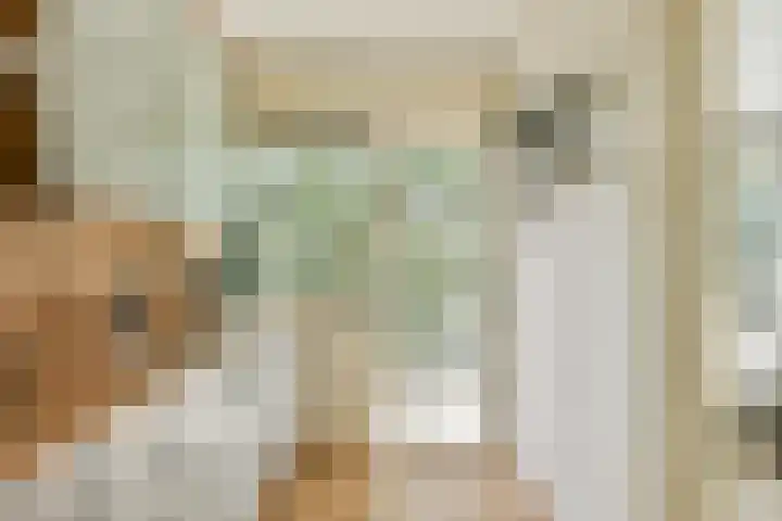 Schierstins 125 Amsterdam thumbnail 8