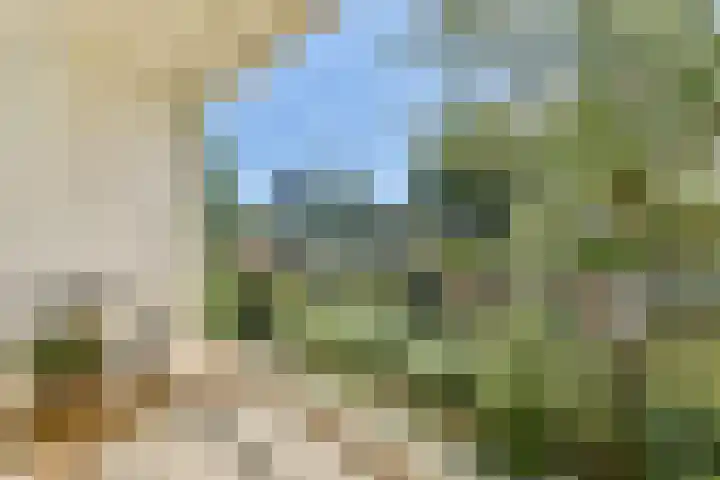 Schierstins 125 Amsterdam thumbnail 9