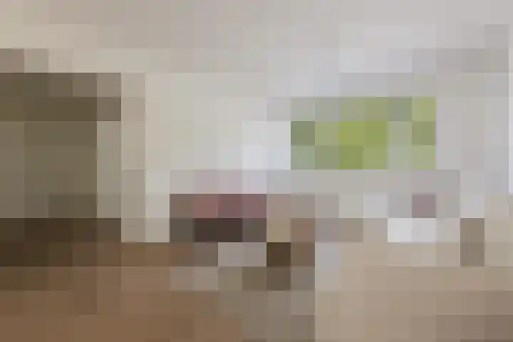 Schierstins 131 Amsterdam thumbnail 11