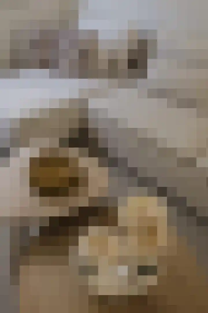 Schierstins 131 Amsterdam thumbnail 13