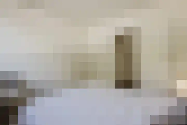 Schierstins 131 Amsterdam thumbnail 18