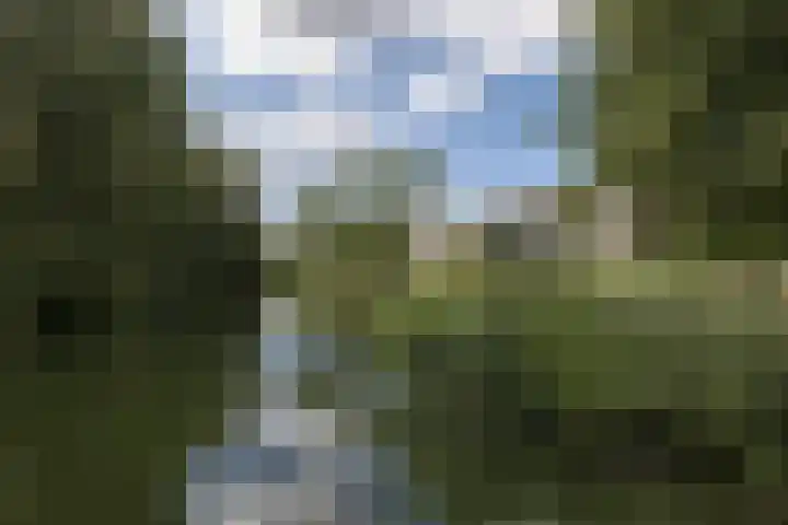 Schierstins 131 Amsterdam thumbnail 27