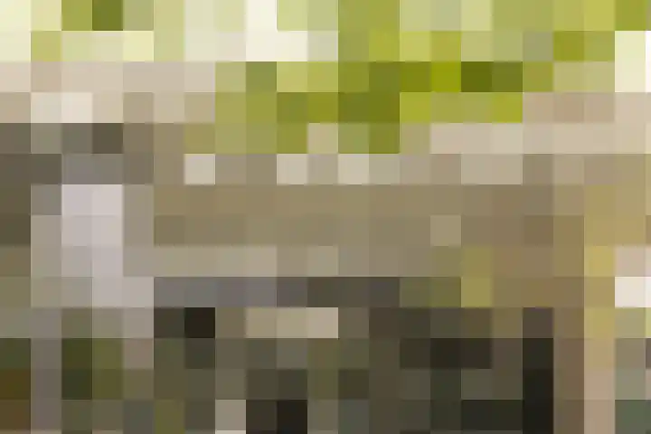Schierstins 131 Amsterdam thumbnail 28
